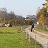 Abschlussfest